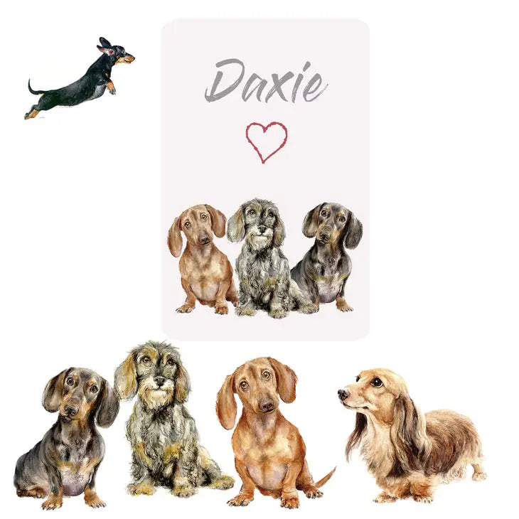 Magnet Greetings Card - Dachshunds