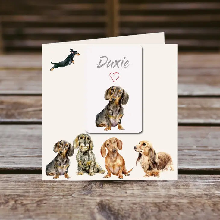 Magnet Greetings Card - Dachshunds