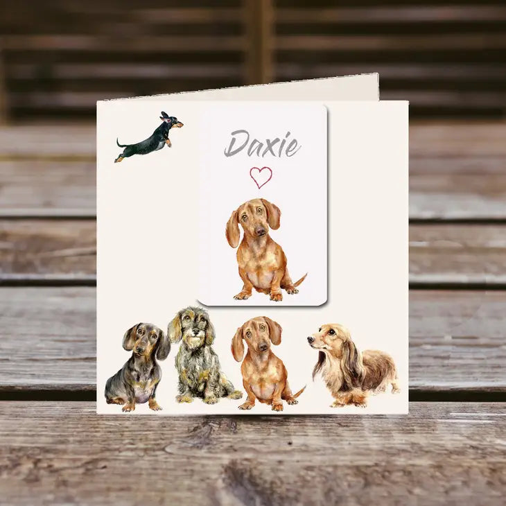 Magnet Greetings Card - Dachshunds