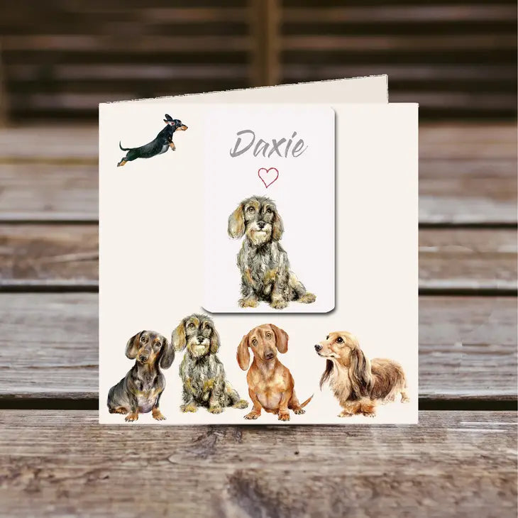 Magnet Greetings Card - Dachshunds