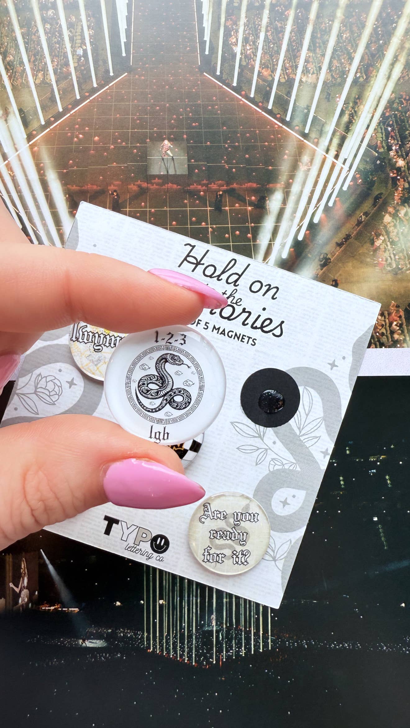 Taylor Swift Inspired Reputation Magnets Set of 5