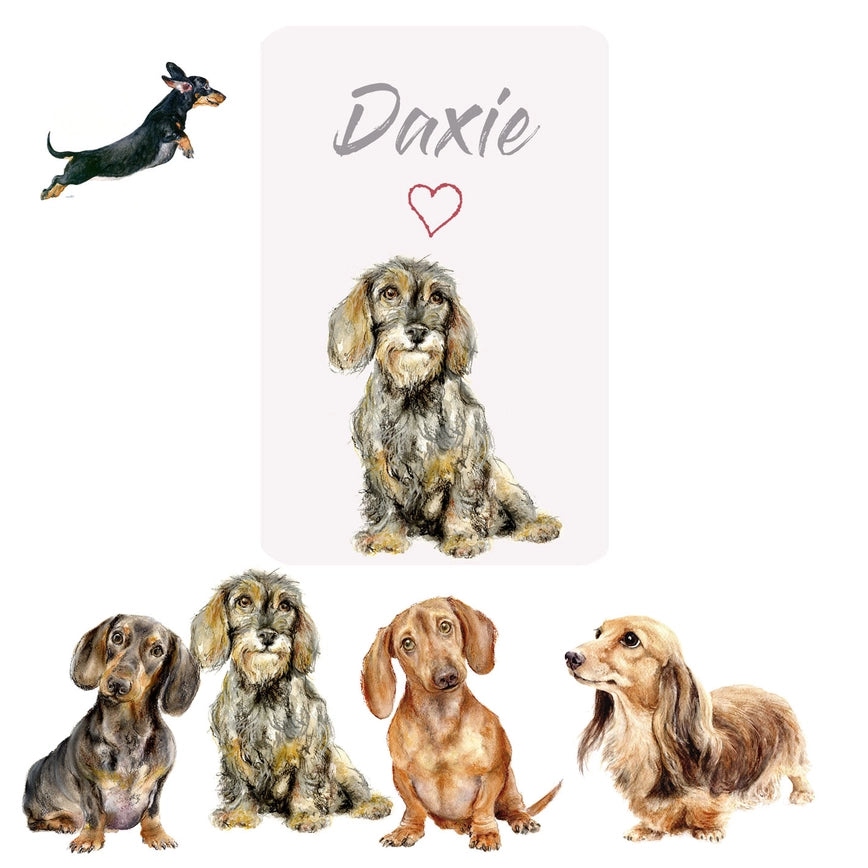 Magnet Greetings Card - Dachshunds