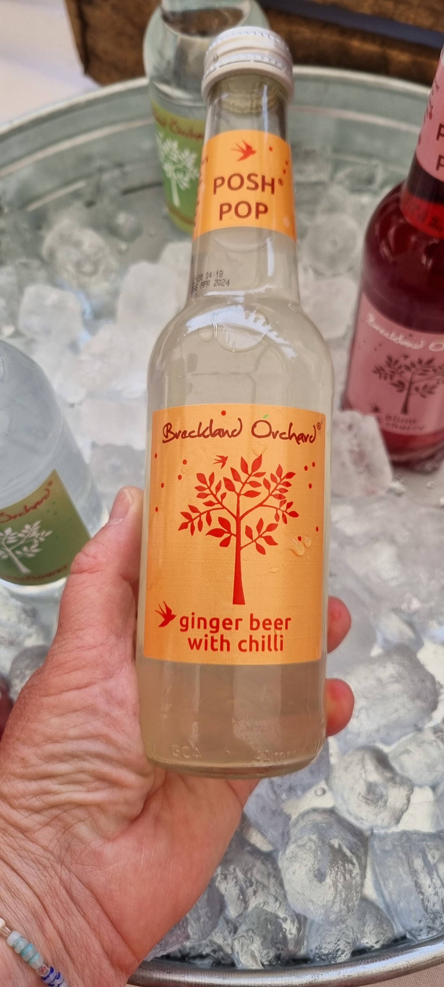 Ginger Beer with Chilli Posh Pop 12 x 275ml
