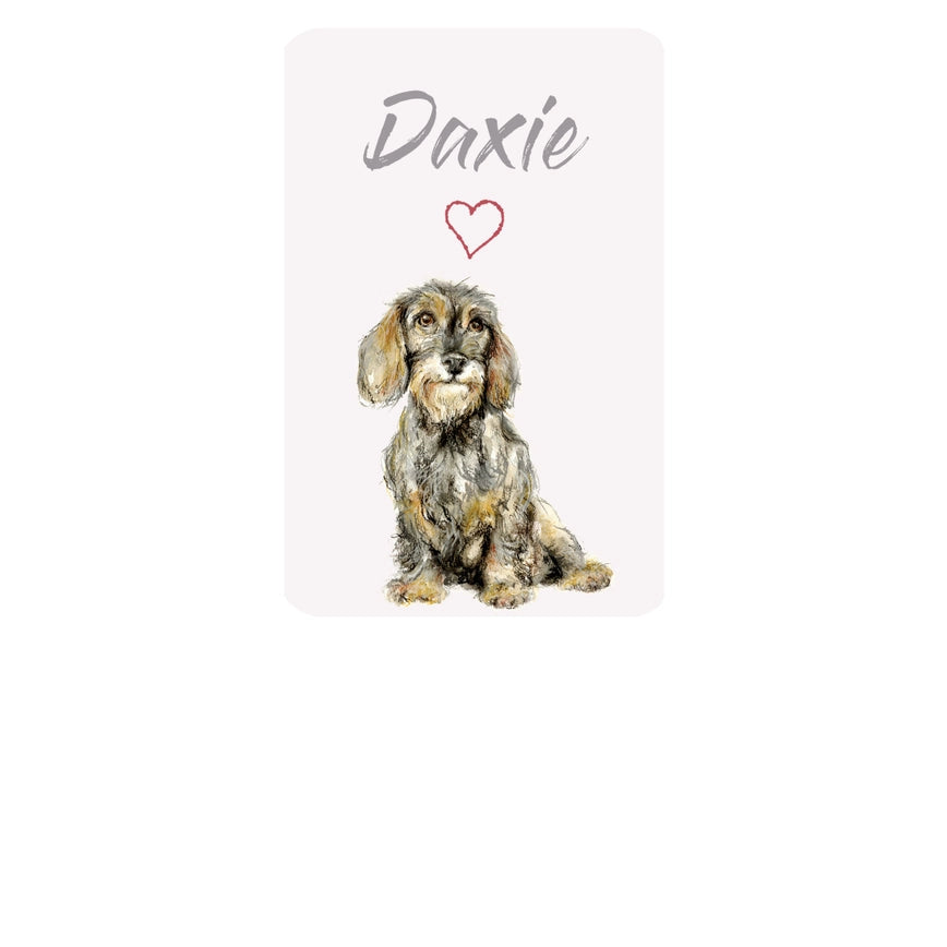 Magnet Greetings Card - Dachshunds