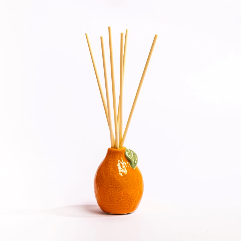 Ceramic Fruit Diffusers