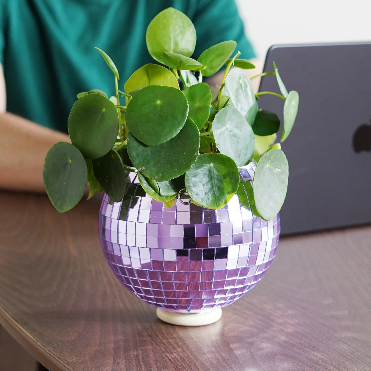 Disco Ball Hanging Planter - Lilac (6in)