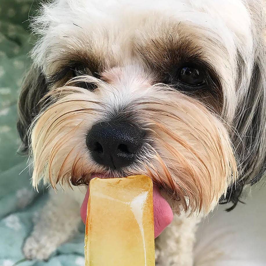 Woof&Brew Paw Pops for Dogs - Freeze Pops for Dogs