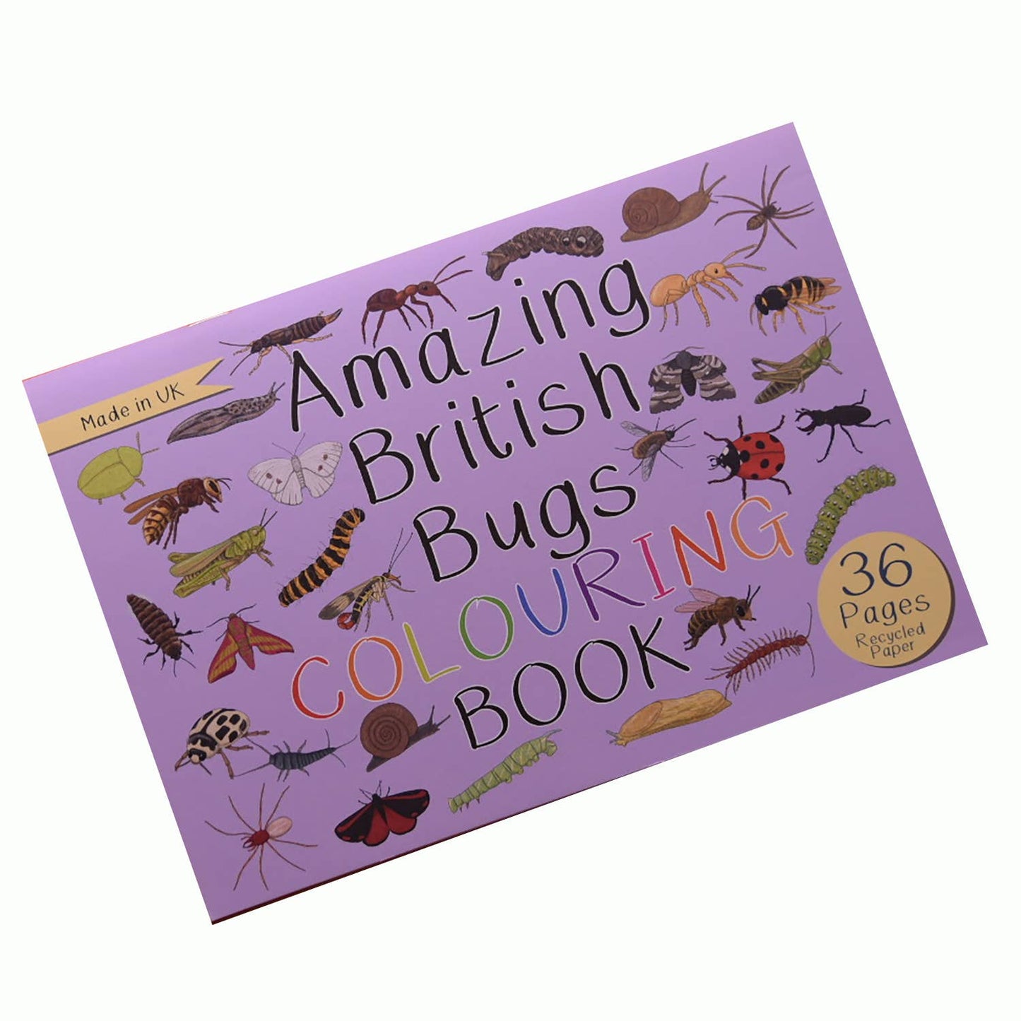 Amazing British Bugs Colouring Book