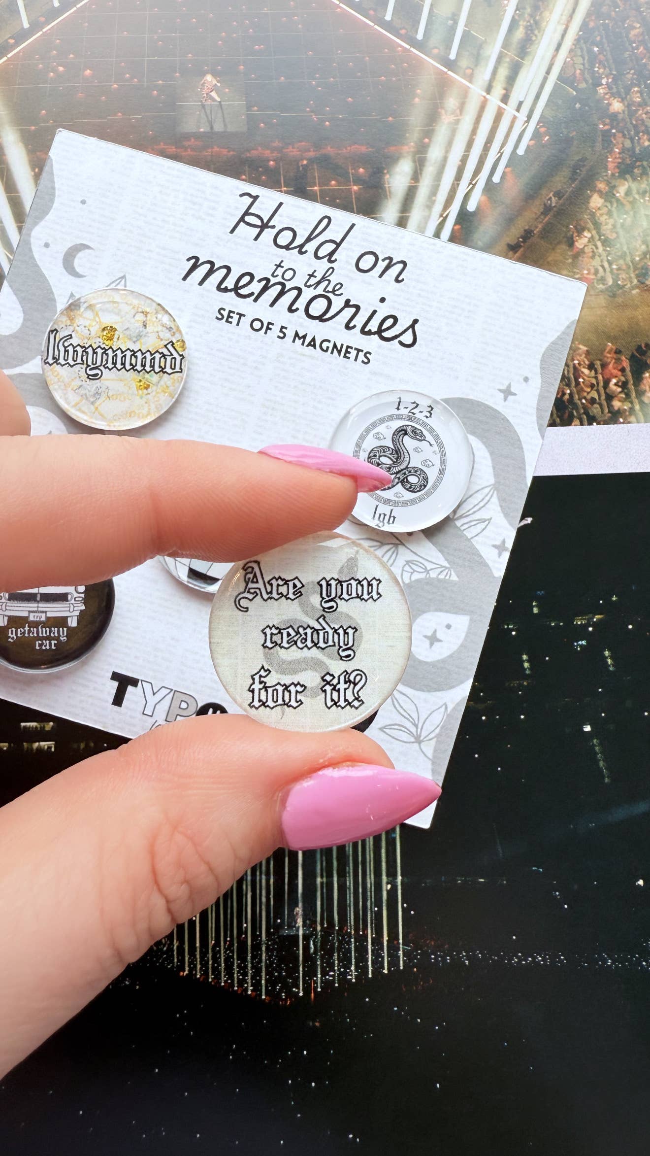 Taylor Swift Inspired Reputation Magnets Set of 5