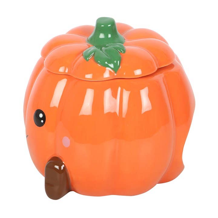 Cute Pumpkin Fall and Autumn Oil Burner and Wax Warmer