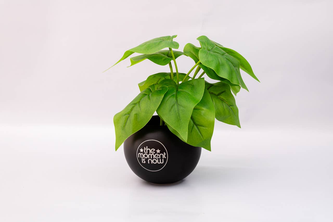 Ban.do Vase - Lucky 8 Ball