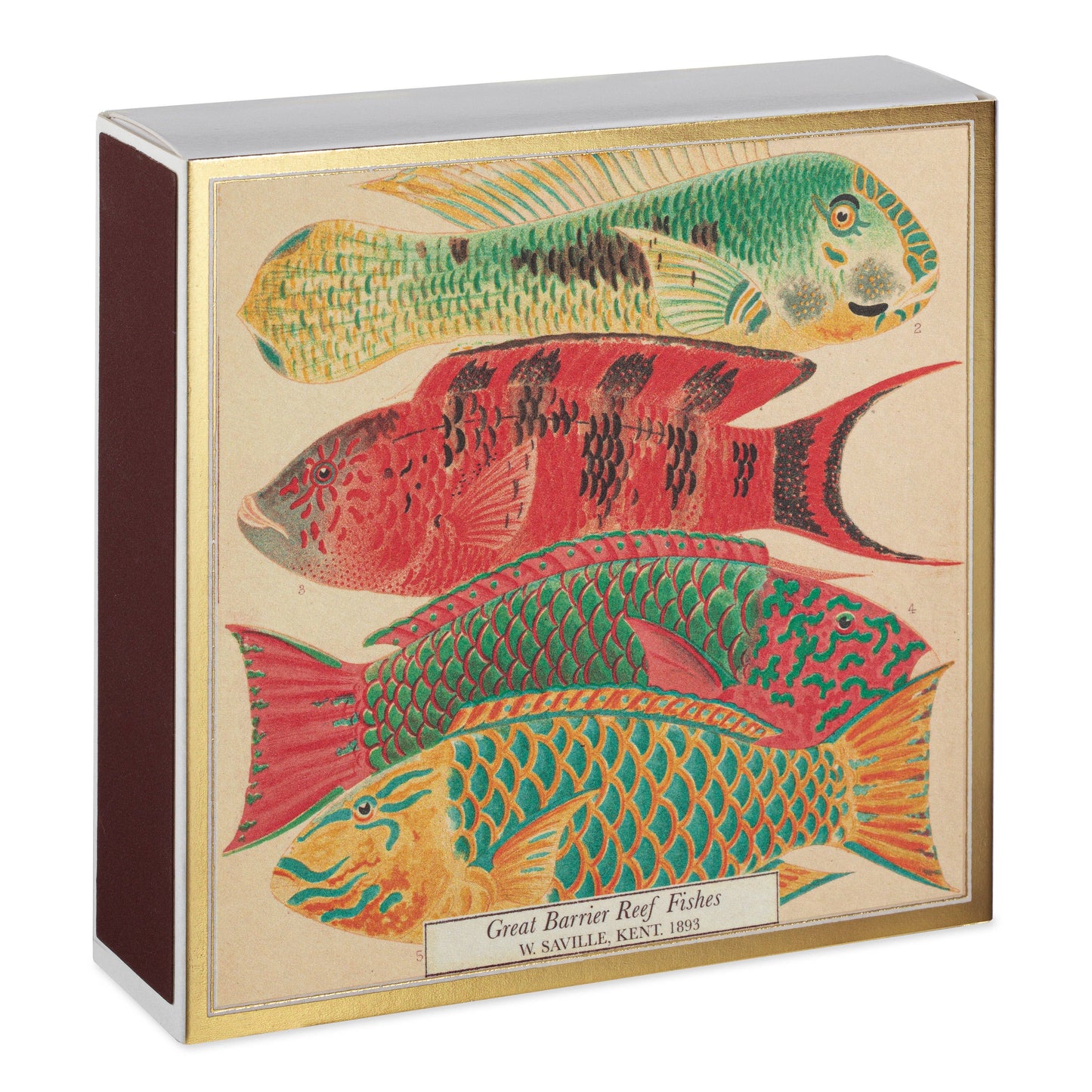 Fish - Square Matchbox