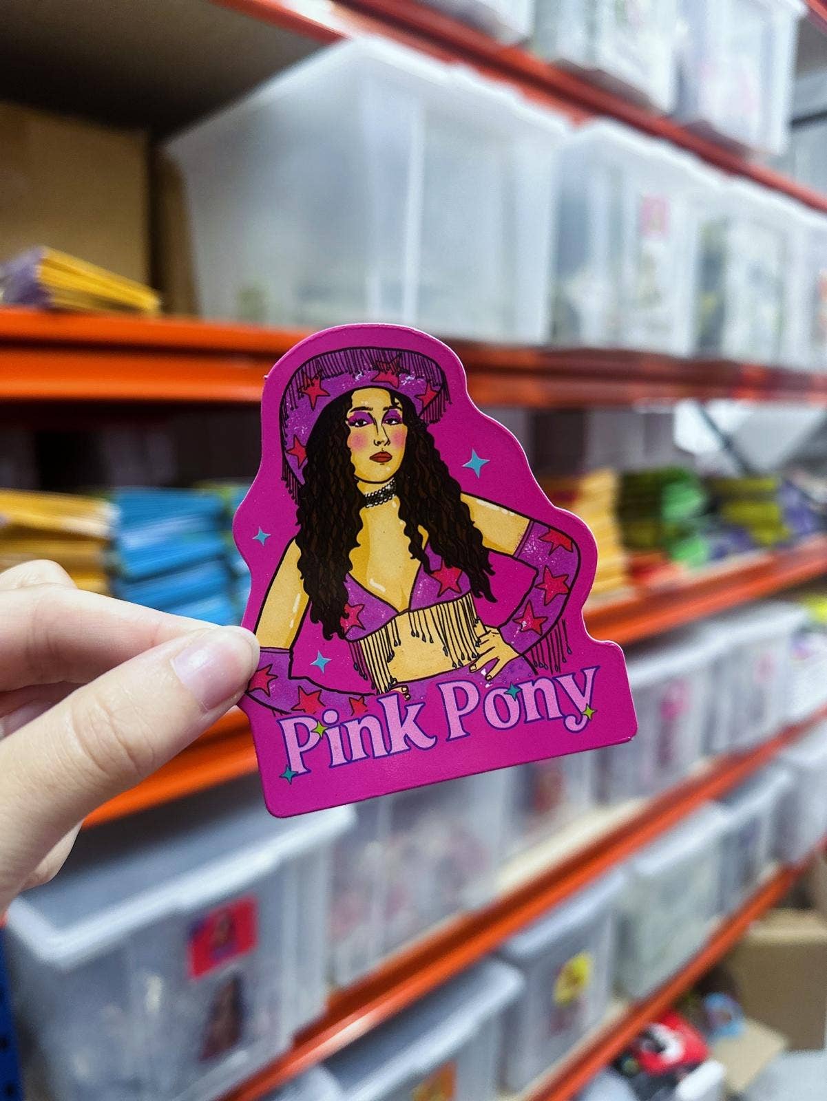 Pink Pony Magnet
