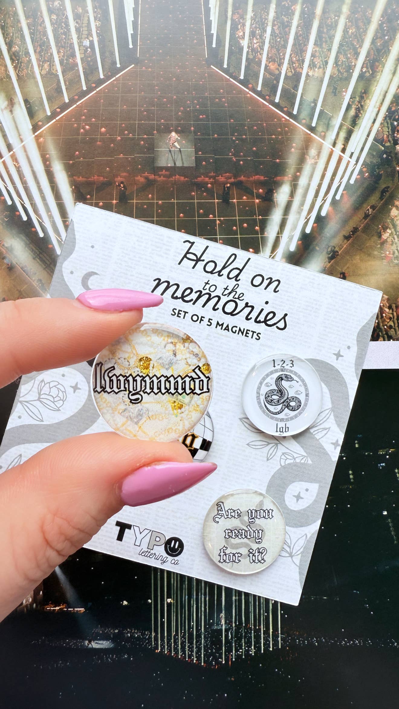 Taylor Swift Inspired Reputation Magnets Set of 5