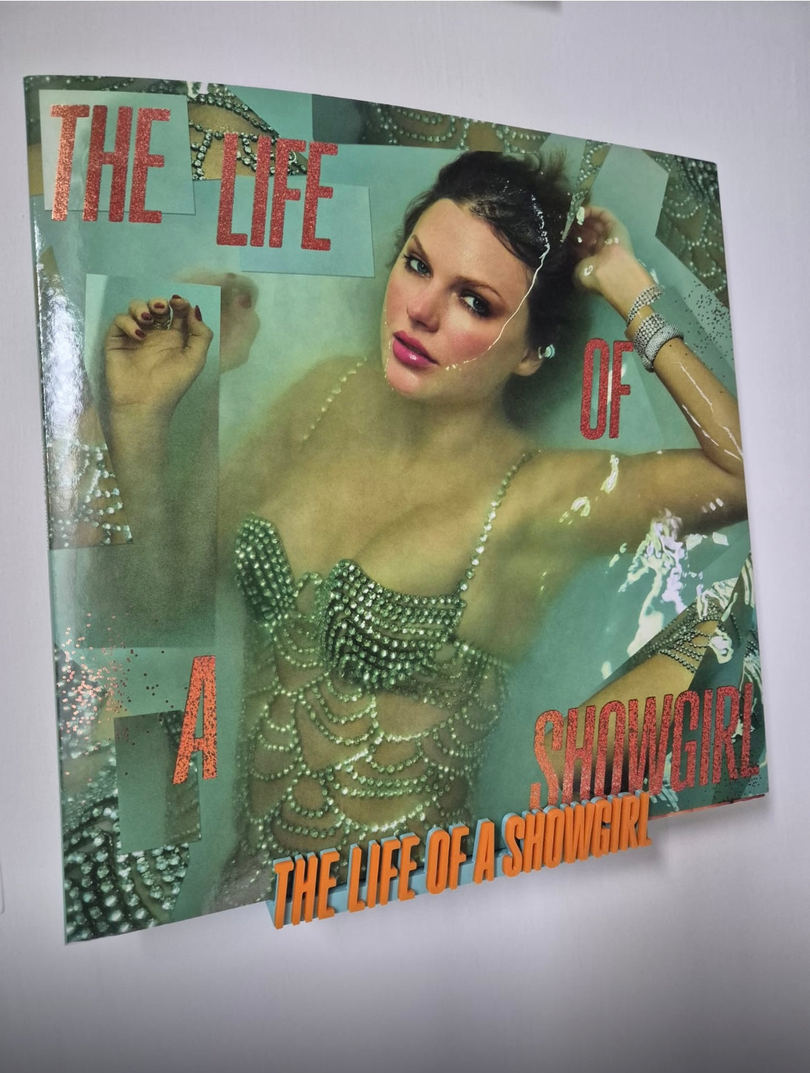 Life of A Showgirl Vinyl Record Or CD Holder Shelf