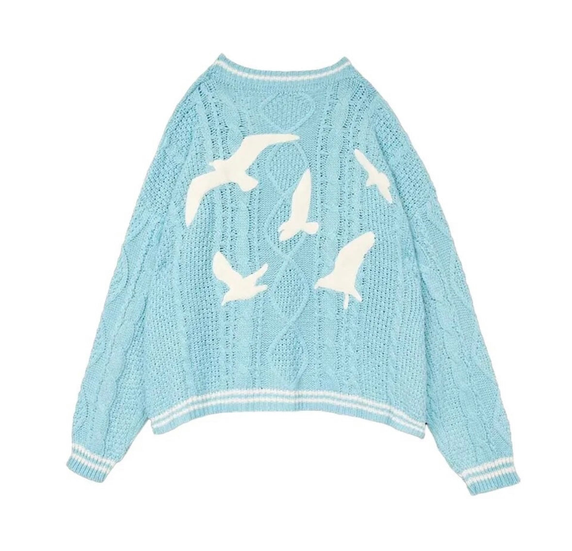 1989 Taylor’s Version Cardigan