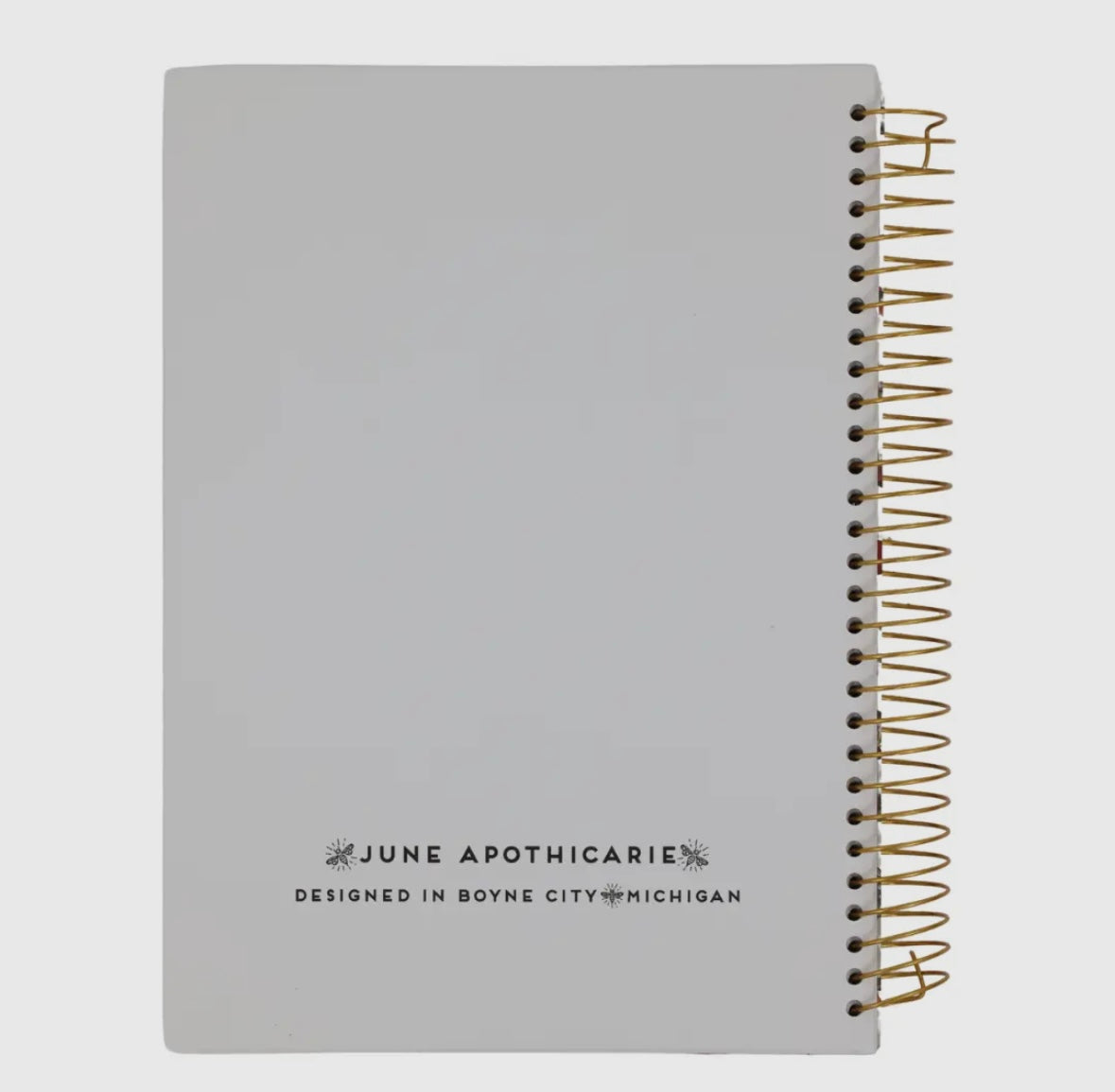 Eras Music Inspired Large Large Spiral Notebook