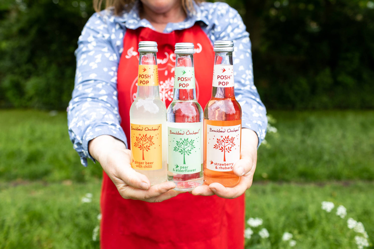 Ginger Beer with Chilli Posh Pop 12 x 275ml