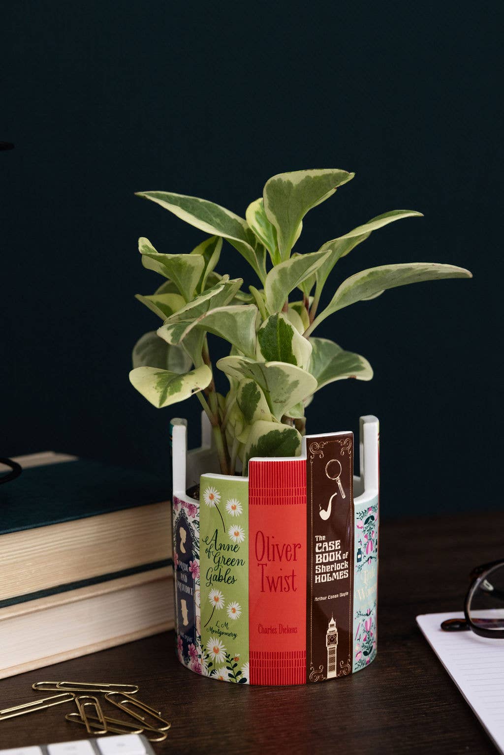 Desk Pot/Planter - Classic Books