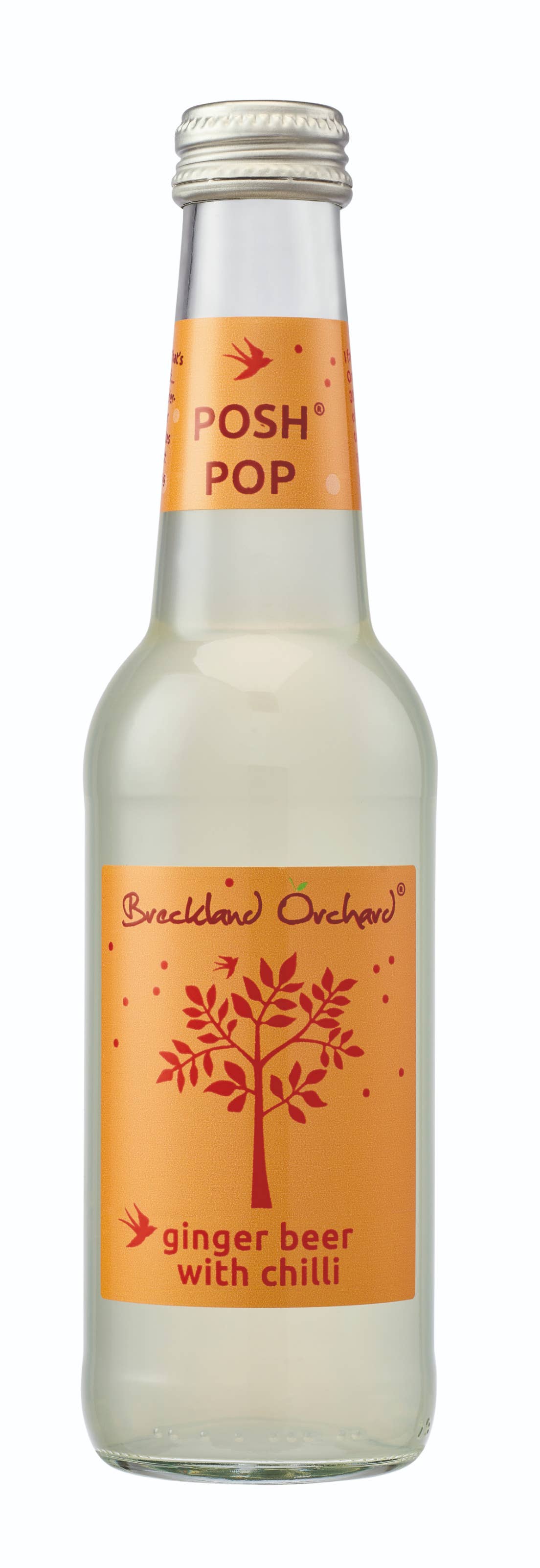Ginger Beer with Chilli Posh Pop 12 x 275ml