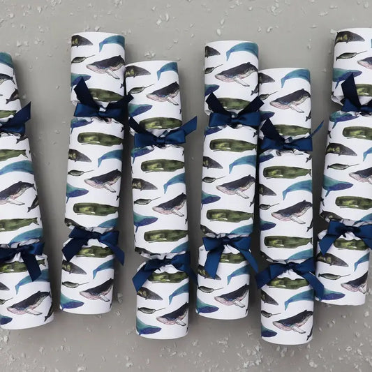 Eco Friendly Winter Whales Luxury Christmas Crackers
