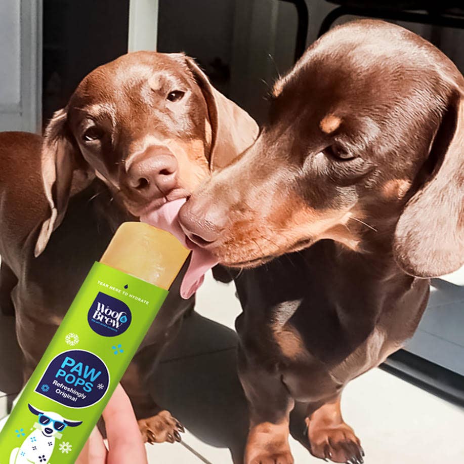 Woof&Brew Paw Pops for Dogs - Freeze Pops for Dogs
