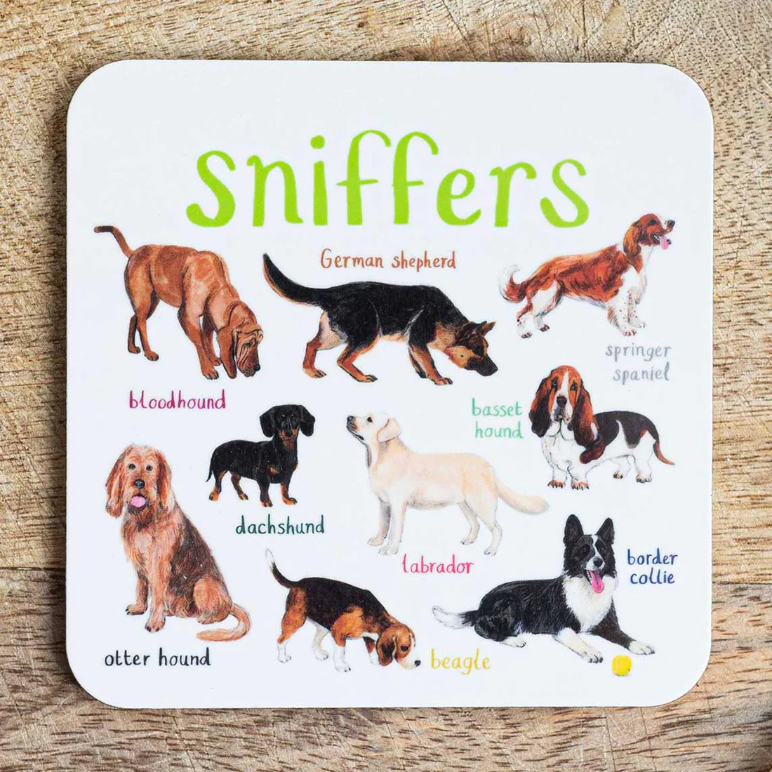 Naughty Animals and Birds Coasters