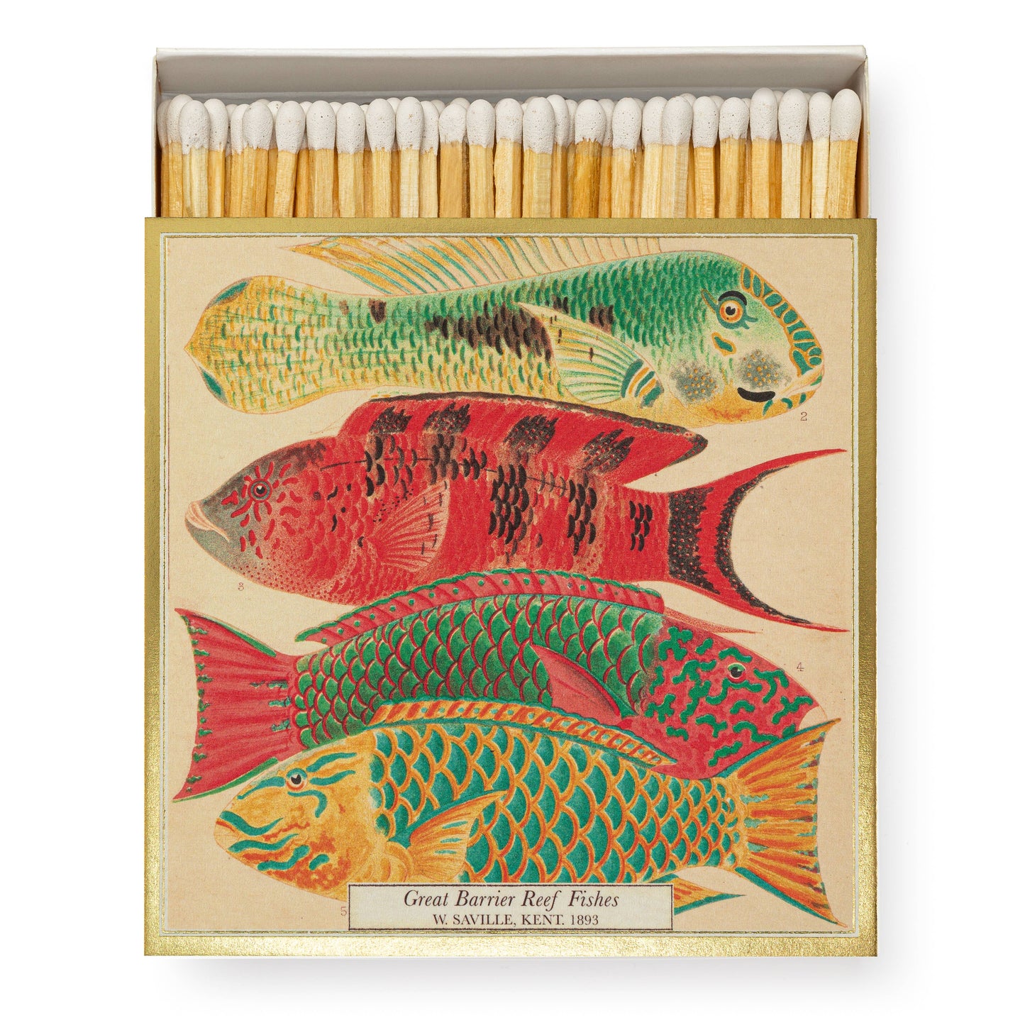 Fish - Square Matchbox
