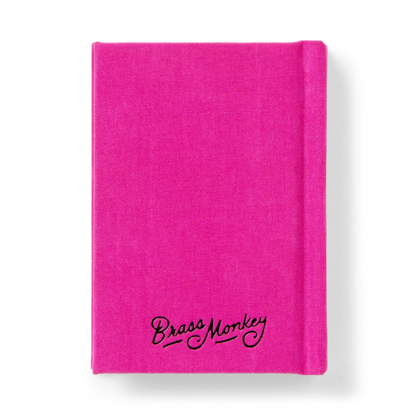 Tiny Diary for Not So Tiny Secrets (Diary or Journal)
