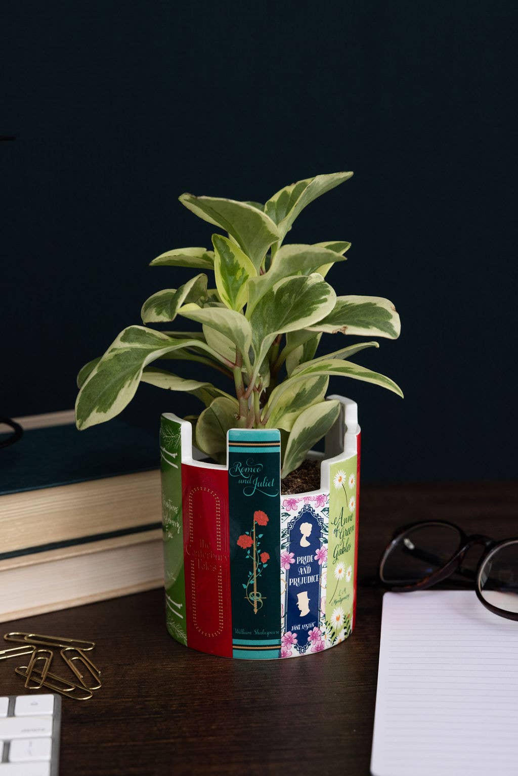 Desk Pot/Planter - Classic Books