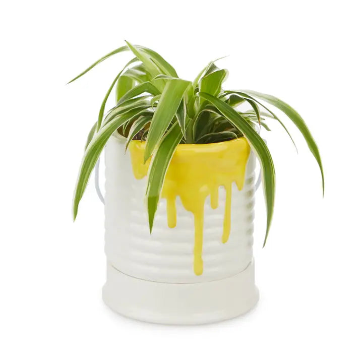 Balvi Painty Flower Pot With Drip Tray
