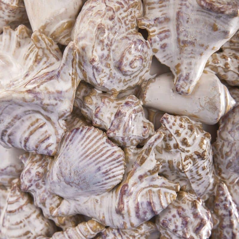 Vase Shells, Natural Stoneware, 24 x 24 x 33.5 cm