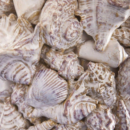 Vase Shells, Natural Stoneware, 24 x 24 x 33.5 cm