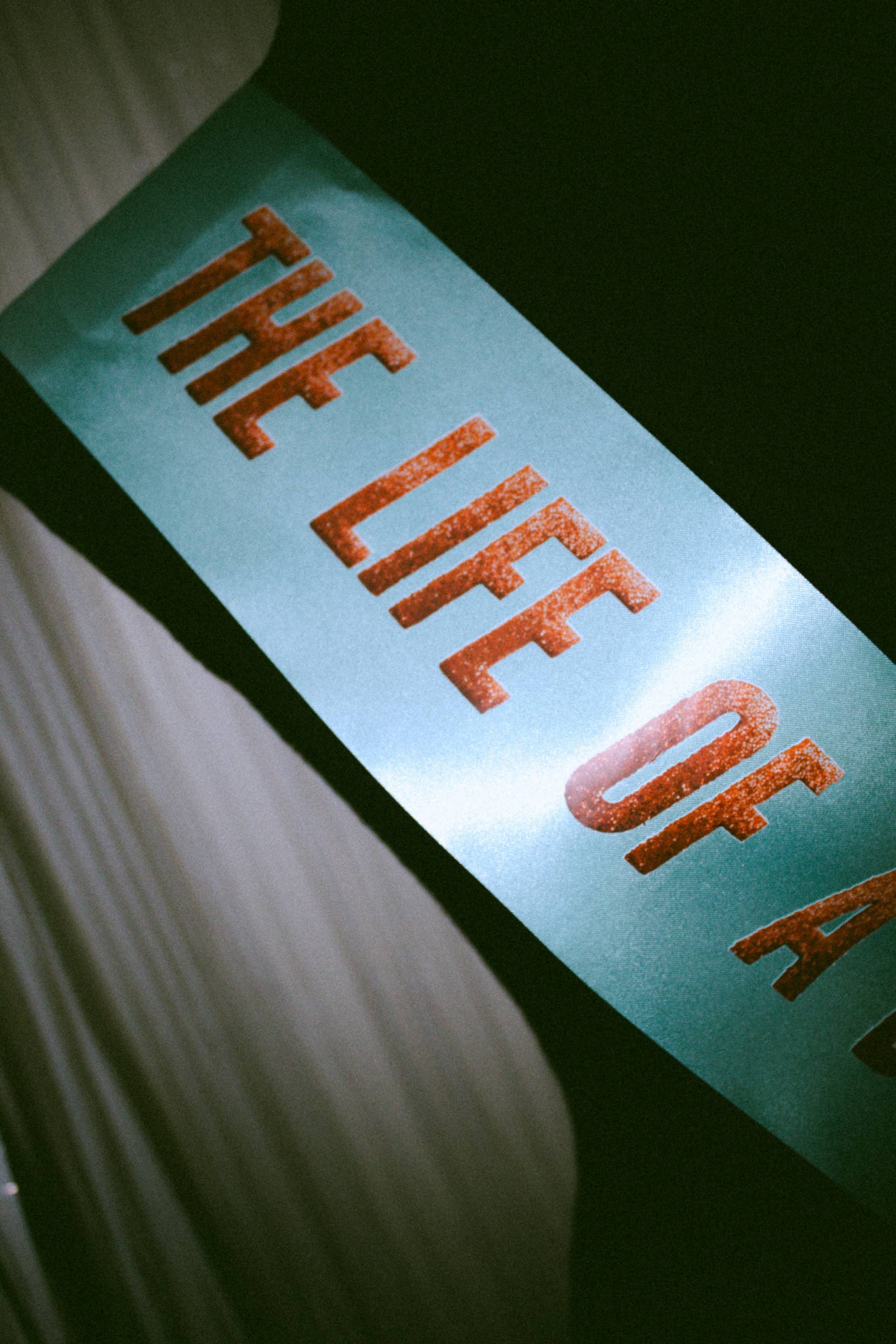 The Life of A Birthday Girl Sash - Viral Swiftie Bday Sash