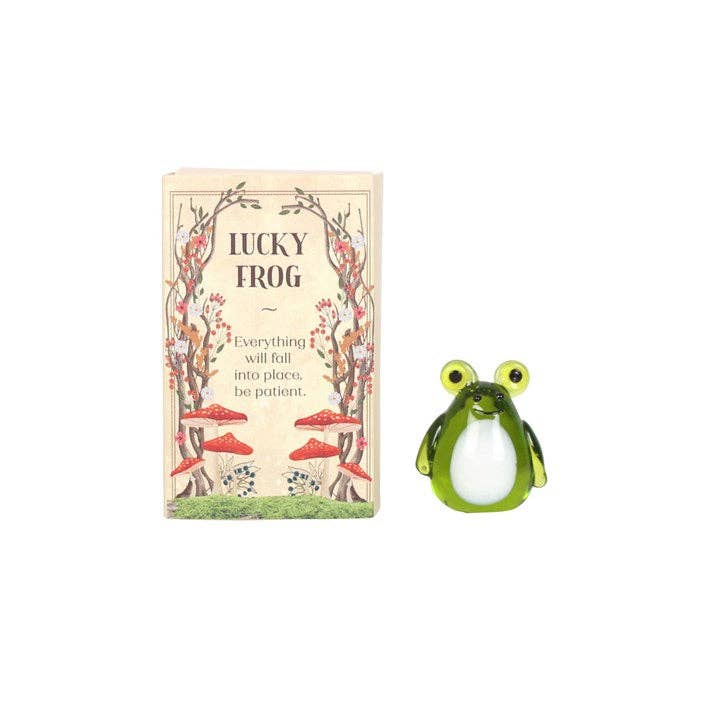 Lucky Glass Frog and Toadstools in Display