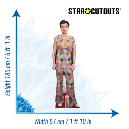 Harry Styles - Height 185cm - Lifesize Cardboard Cut Out With Mini Harry Also