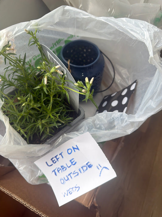 Custom listing for plant postage