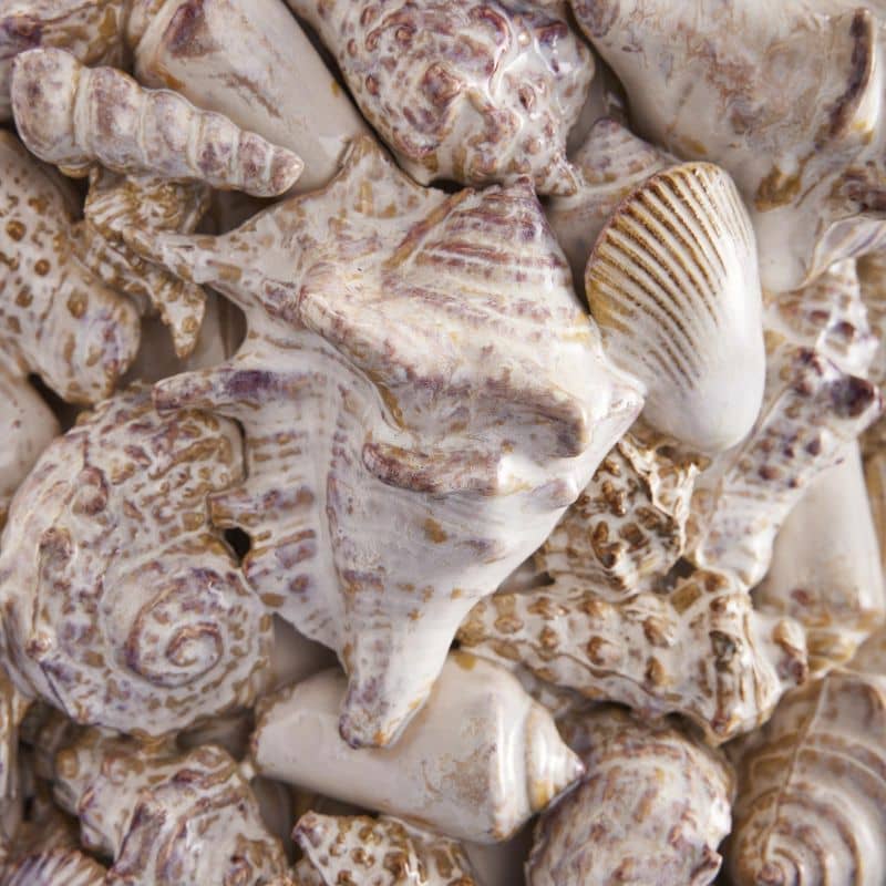 Vase Shells, Natural Stoneware, 24 x 24 x 33.5 cm