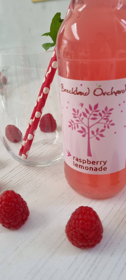 ZERO Sugar Raspberry Lemonade Posh Pop 12 x 275ml