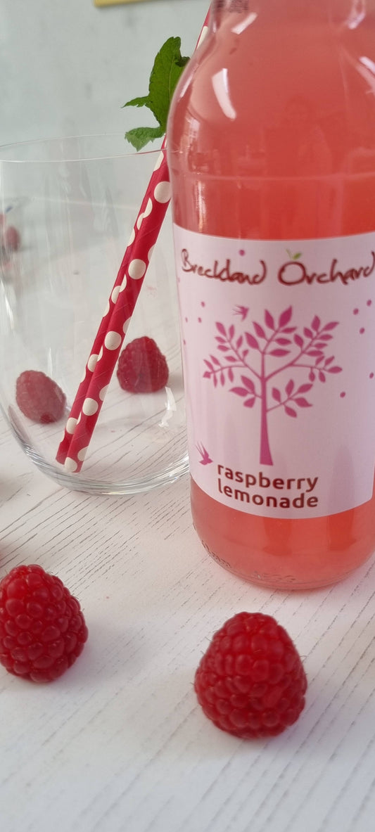 ZERO Sugar Raspberry Lemonade Posh Pop 12 x 275ml