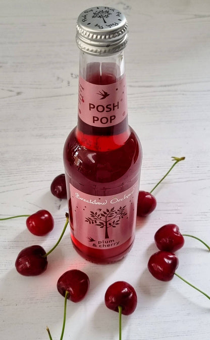 Plum and Cherry Posh Pop 275ml by Breckland Orchard
