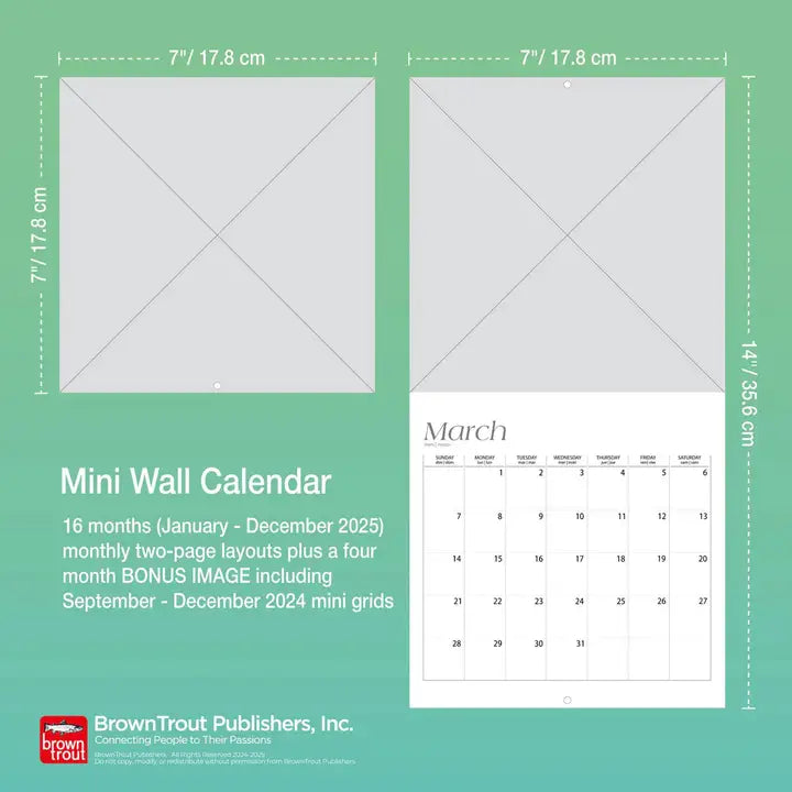 Taylor Swift 2025 Mini Calendar