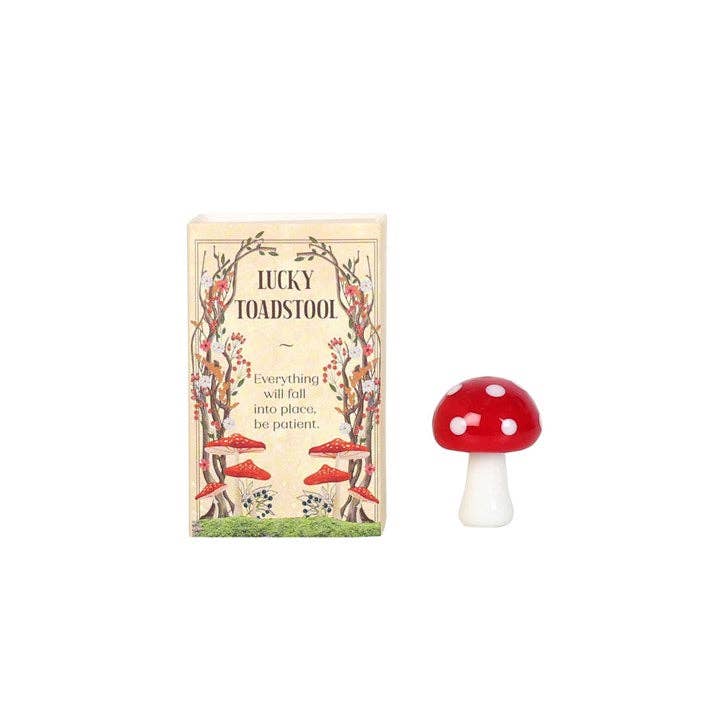 Lucky Glass Frog and Toadstools in Display