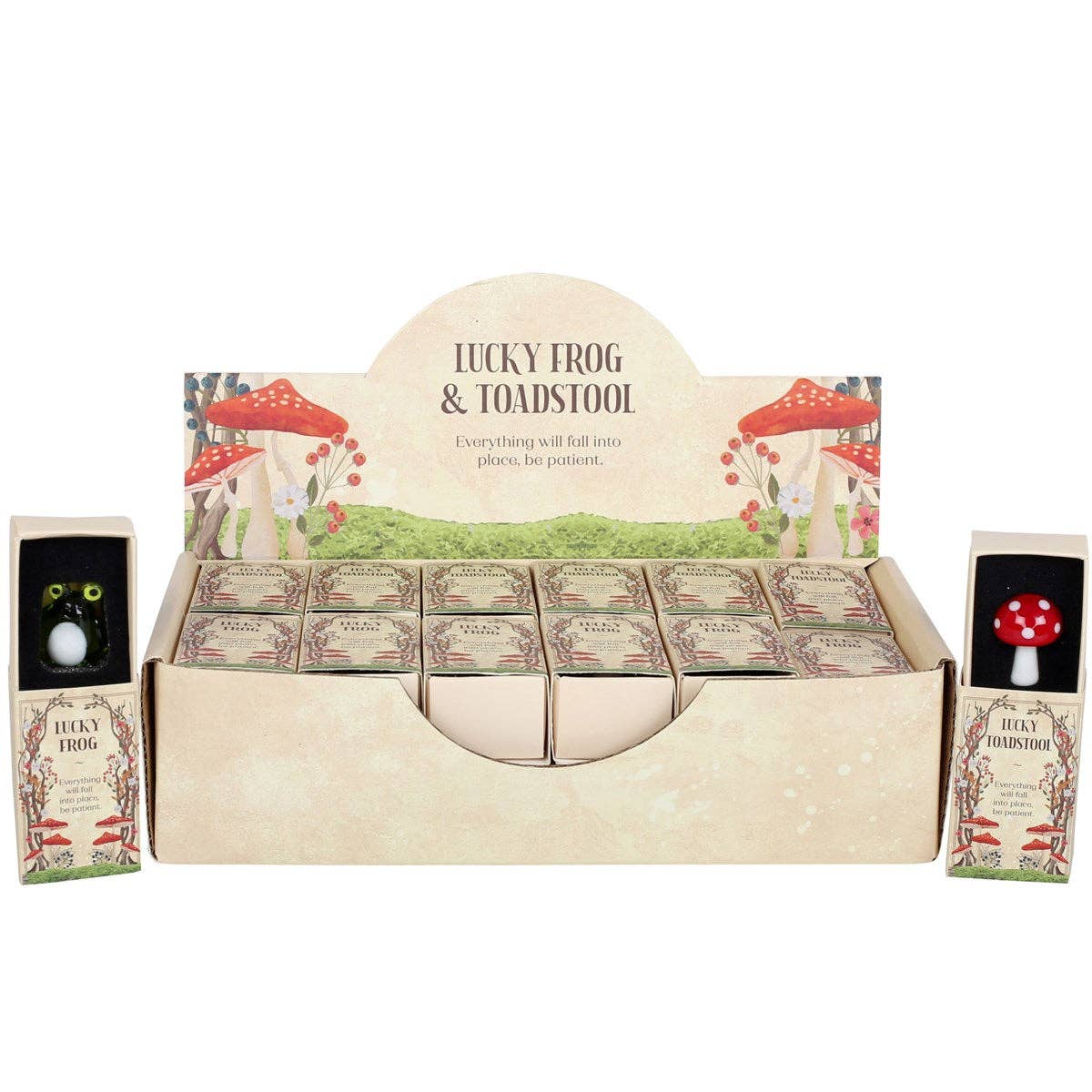 Lucky Glass Frog and Toadstools in Display