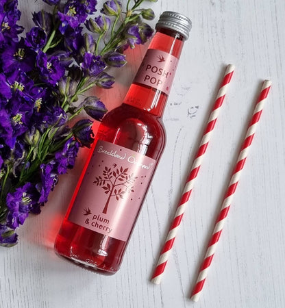Plum and Cherry Posh Pop 275ml by Breckland Orchard