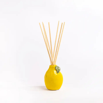 Ceramic Fruit Diffusers
