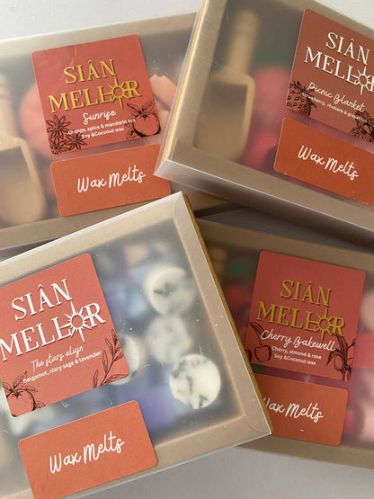 Wax melt scoopies - different scents 