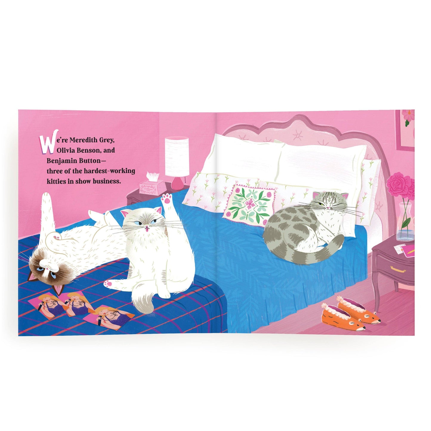 Karma Is Three Cats - Life According to Taylor Swift’s Kitty Best Friends (Hardback)