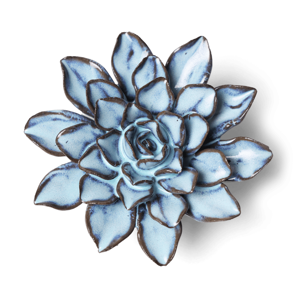 Japan Ceramic Flower Blue Brown Aster