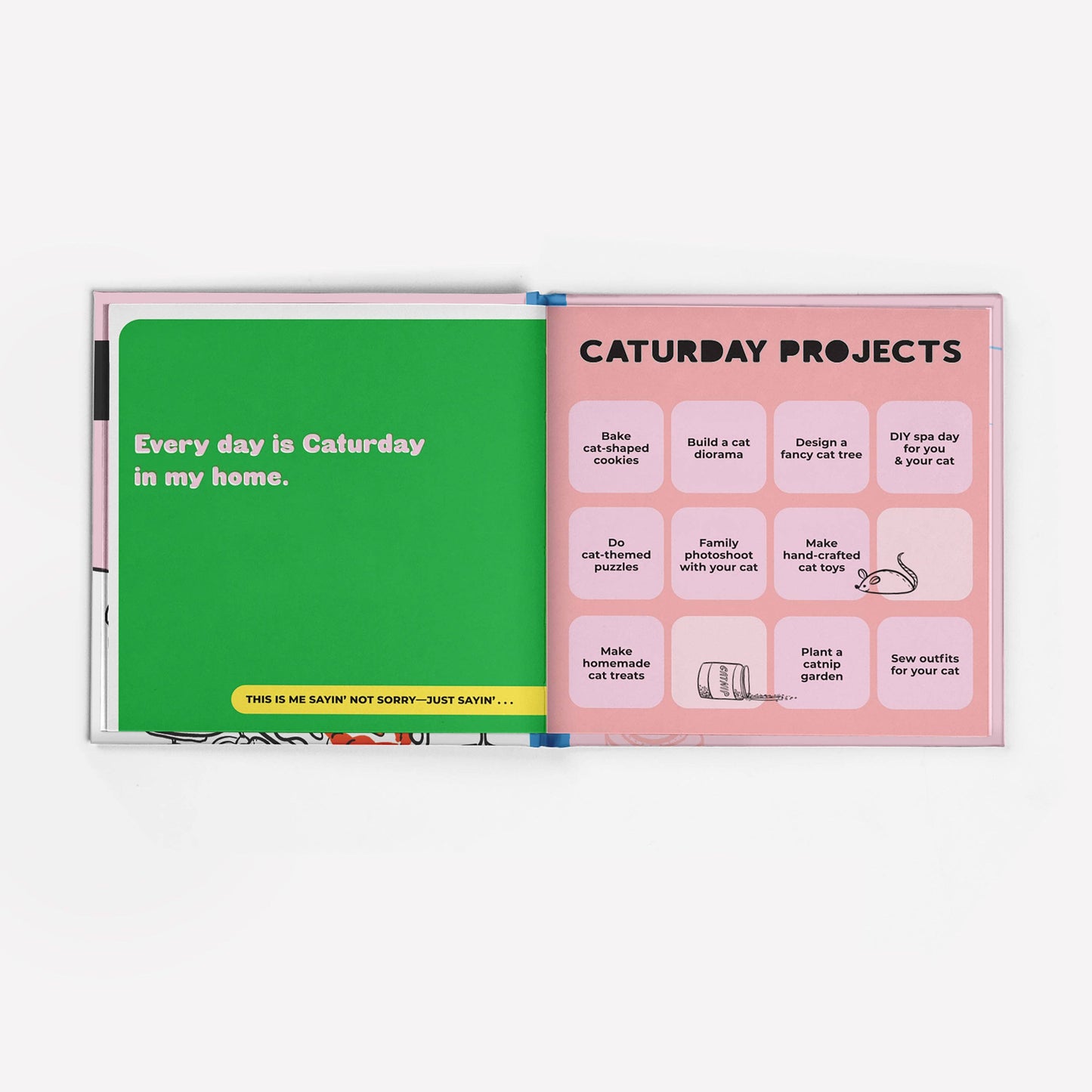 I'm a Cat Lady Sorry Not Sorry Book (Hardback)